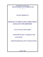 Luận văn thạc sĩ đánh giá các dòng TGMS và dòng thuần mang gen tương hợp rộng 