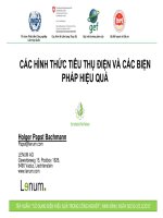 CÁC HÌNH THỨC TIÊU THỤ ĐIỆN VÀ CÁC BIỆN PHÁP HIỆU QUẢ