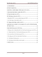 Những tác động của khu vực mậu dịch tự do ASEAN tới nên kinh tế việt nam 