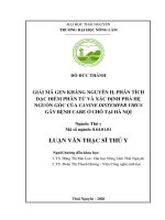 (Luận văn thạc sĩ) giải mã gen kháng nguyên h, phân tích đặc điểm phân tử và xác định phả hệ nguồn gốc của canine distemper virus gây bệnh care ở chó tại hà nội 
