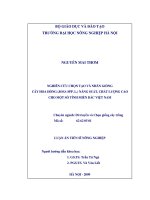 Luận văn thạc sĩ nghiên cứu chọn tạo và nhân giống cây hoa hồng rosa SPP l năng suất chất lượng cao cho một số tỉnh miền bắc việt nam 