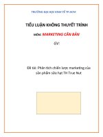 Phân tích chiến lược marketing của sản phẩm sữa hạt TH true nut 