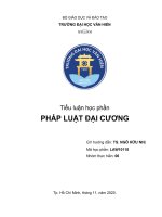 Tiểu luận học phần PHÁP LUẬT đại CƯƠNG 