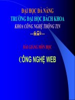 BÀI GIẢNG CÔNG NGHỆ WEB ( INTERNET VÀ WEB )