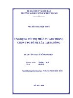Luận văn thạc sĩ ứng dụng chỉ thị phân tử ADN trong chọn tạo bố mẹ lúa lai ba dòng 