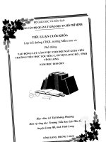 Tiểu luận cuối khóa CBQL tạo động lực làm việc cho đội ngũ giáo viên trường tiểu học lộc hòa c huyện long hồ 