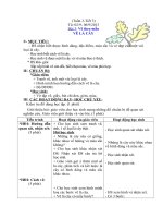 GIAO AN MI THUAT KHOI 2 TUAN 3