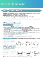 Chuyên đề 3: LÝ THUYẾT VÀ BÀI TẬP CHUYÊN ĐỀ CACBOHIDRAT HAY