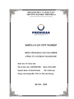 Phân tích báo cáo tài chính tại công ty cổ phần vicostone 