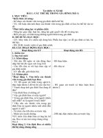 GIÁO ÁN TỰ NHIÊN XÃ HỘI LỚP 2 BỘ SÁCH KẾT NỐI TRI THỨC VỚI CUỘC SỐNG (31 BÀI)