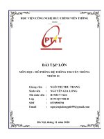 BÀI tập lớn môn học mô PHỎNG hệ THỐNG TRUYỀN THÔNG 