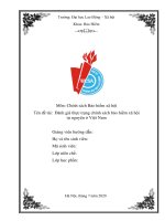 Tiểu luận môn Chính sách BHXH  Đề tài Thực trạng BHXH tự nguyện Việt Nam