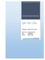 BÀI tập lớn mô PHỎNG hệ THỐNG TRUYỀN THÔNG 