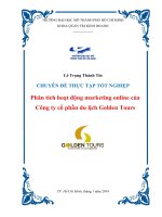 Phân tích hoạt động marketing online của công ty cổ phần du lịch golden tours 