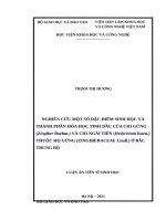 Nghiên cứu một số đặc điểm sinh học và thành phần hóa học tinh dầu của chi gừng (zingiber boehm ) và chi ngải tiên (hedychium koen ) thuộc họ gừng ở bắc trung bộ 