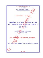 Nghiên cứu động lực làm việc cho người lao động tại công ty xăng dầu quảng trị 