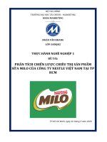 PHÂN TÍCH CHIẾN lược CHIÊU THỊ sản PHẨM sữa MILO của CÔNG TY NESTLE VIỆT NAM tại TP HCM 