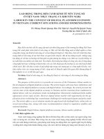 Lao động trong bối cảnh kinh tế nền tảng số ở Việt Nam: Thực trạng và khuyến nghị