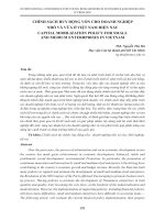 Chính sách huy động vốn cho doanh nghiệp nhỏ và vừa ở Việt Nam hiện nay