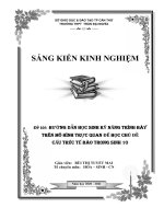 SKKN hướng dẫn học sinh kỹ năng trình bày trên mô hình trực quan để học chủ đề cấu trúc tế bào trong sinh 10 