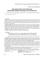 Ứng dụng tế bào gốc trung mô trong điều trị bệnh thận mạn do lupus ban đỏ