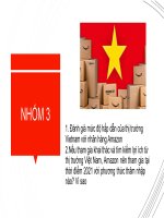 Đánh giá mức độ hấp dẫn của thị trường vietnam với nhãn hàng amazon 2 nếu tham gia khai thác và tìm kiếm lợi ích từ thị trường việt nam, amazon nên tham gia tại thời điểm 2021 với phương thức thâm nhập nào, vì sao 