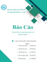 Chủ đề phân tích hoạt động logistics của tập đoàn alibaba 