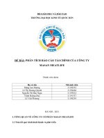 ĐỀ bài PHÂN TÍCH báo cáo tài CHÍNH của CÔNG TY MASAN MEATLIFE 