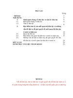 tiểu luận tâm lý học  tâm lý dân tộc và đặc điểm tâm lý của mối quan hệ dân tộc ở việt nam hiện nay