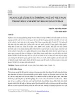 Ngang giá lãi suất có phòng ngừa ở Việt Nam trong bối cảnh khủng hoảng do Covid-19
