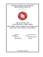 TIỂU LUẬN GIỮA kỳ TĂNG TRƯỞNG và PHÁT TRIỂN PHÁT TRIỂN NÔNG NGHIỆP CÔNG NGHỆ CAO ở VIỆT NAM THỰC TRẠNG và GIẢI PHÁP 