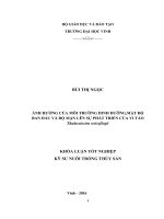 Ảnh hưởng của môi trường dinh dưỡng,mật độ ban đầu và độ mặn lên sự phát triển của vi tảo thalassiosira weissflogii 