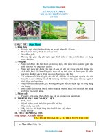 Giáo án ngữ văn 6 sách chân trời sáng tạo bài 10 mẹ thiên nhiên 