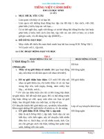 Giáo án tiếng việt 1 sách cánh diều học kỳ 1 