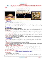 Giáo án GDCD 6 bài 1 tự hào về truyền thống gia đình dòng họ sách chân trời sáng tạo 