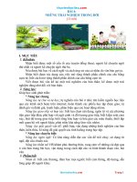 Giáo án ngữ văn 6 sách chân trời sáng tạo bài 4 những trải nghiệm trong đời 