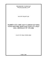 Nghiên cứu chế tạo và khảo sát khả năng hấp phụ kim loại năng của hạt gel chitosan từ vỏ ghẹ 