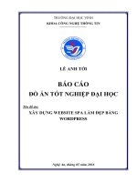 Xây dựng website spa làm đẹp bằng wordpres 