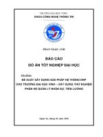 Đề xuất xây dựng giải pháp hệ thống erp cho trường đại học vinh   xây dựng thử nghiệm phân hệ quản lý nhân sự, tiền lương 