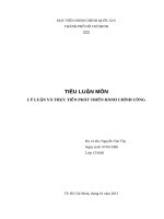 TIỂU LUẬN MÔN LÝ LUẬN VÀ THỰC TIỄN PHÁT TRIỂN HÀNH CHÍNH CÔNG