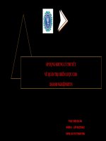 ÁP DỤNG KHUNG lý THUYẾT về QUẢN TRỊ CHIẾN lược CHO DOANH NGHIỆP BITI’S 