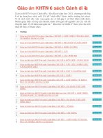 Giáo án KHTN 6 sách cánh diều 