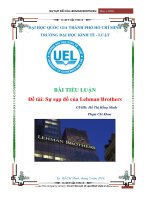 BÀI TIỂU LUẬN đề tài sự sụp đổ của lehman brothers 