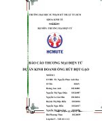 BÁO cáo THƯƠNG mại điện tử  dự án KINH DOANH ỐNG hút bột gạo 