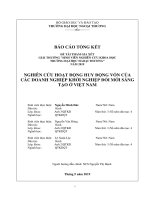 Nghiên cứu hoạt động huy động vốn của doanh nghiệp khởi nghiệp đổi mới sáng tạo ở việt nam 