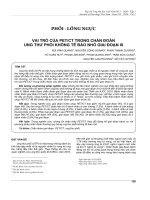 Vai trò của PET/CT trong chẩn đoán ung thư phổi không tế bào nhỏ giai đoạn III