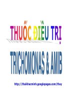 HÓA DƯỢC BÀI THUỐC TRỊ LỴ AMIP