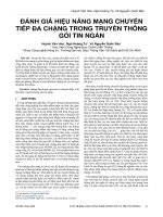 Đánh giá hiệu năng mạng chuyển tiếp đa chặng trong truyền thông gói tin ngắn
