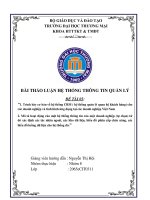BÀI THẢO LUẬN HỆ THỐNG THÔNG TIN QUẢN LÝ: Trình bày cơ bản về hệ thống CRM ( hệ thống quản lý quan hệ khách hàng) cho các doanh nghiệp và tình hình ứng dụng tại các doanh nghiệp Việt Nam