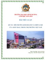 Chiến lược kinh doanh của Aeon Mall trong 5 năm gần nhất từ 20152020 đối với thị trường Việt Nam